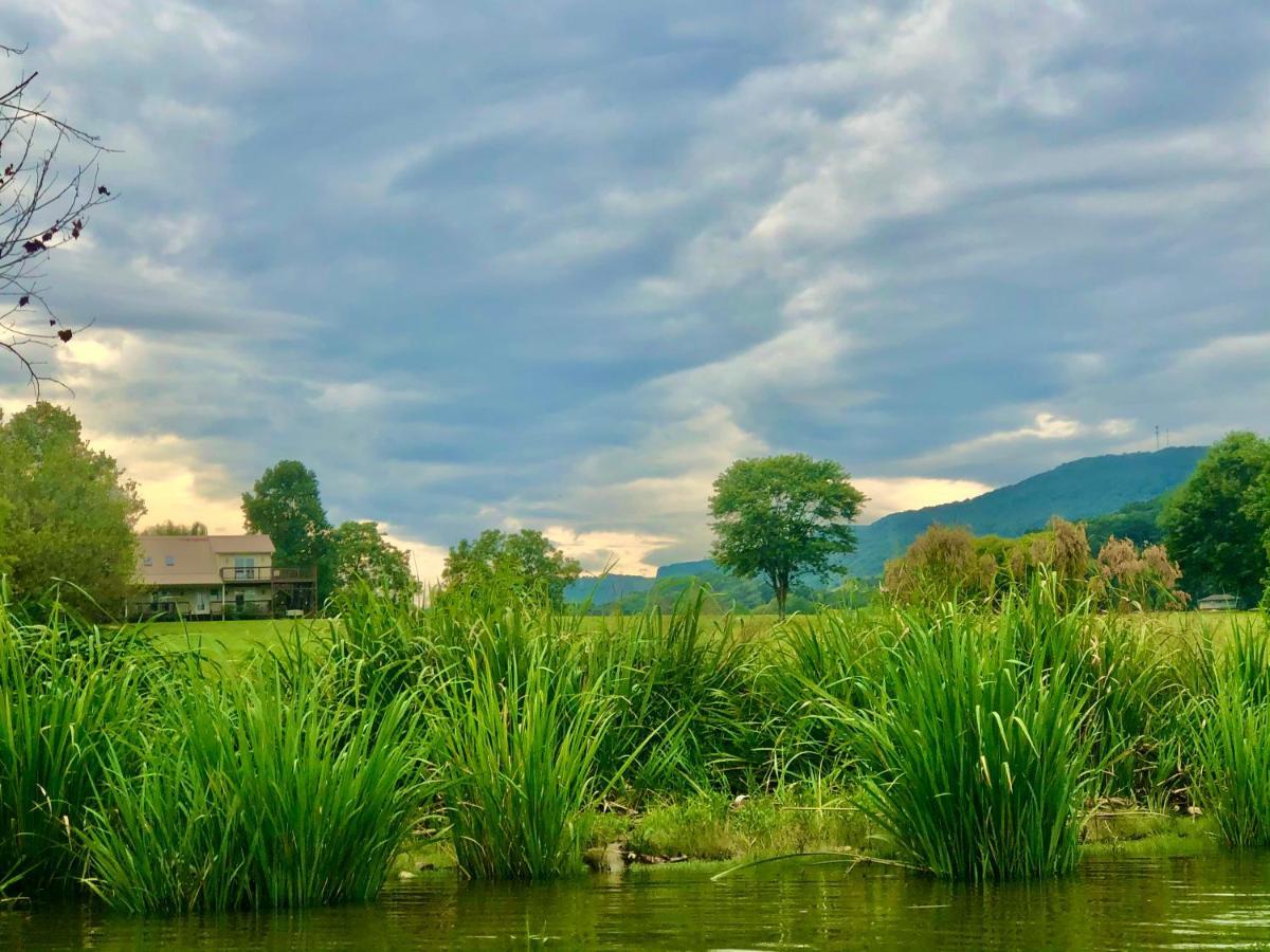 Little River Guest House At Tennessee Riverplace Chattanooga Kültér fotó
