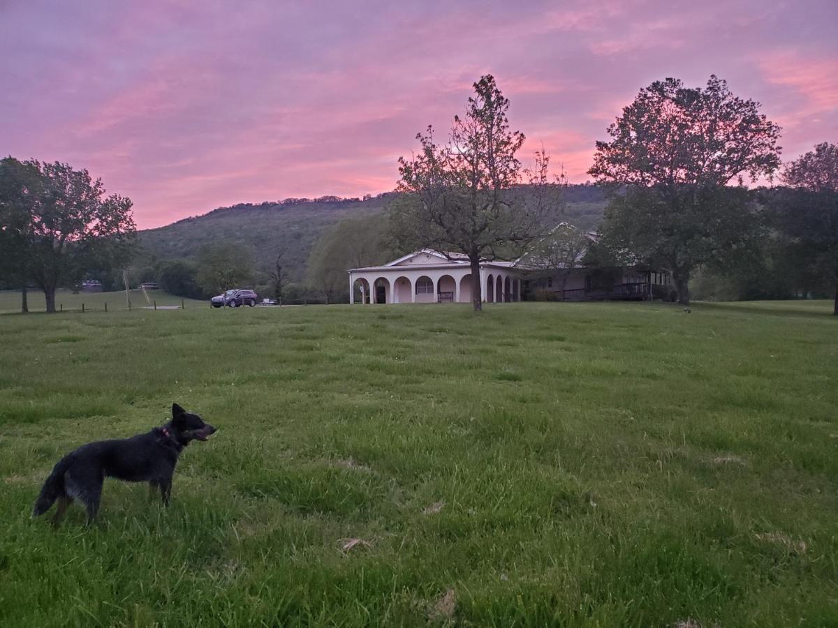 Little River Guest House At Tennessee Riverplace Chattanooga Kültér fotó